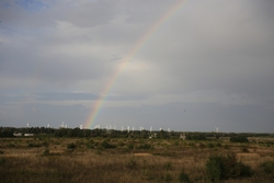 Resize of IMG_6354.JPG