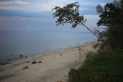 Resize of IMG_6361.JPG