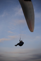 Resize of IMG_6443.JPG