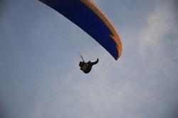 Resize of IMG_6460.JPG