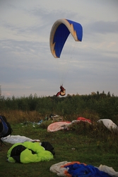 Resize of IMG_6464.JPG