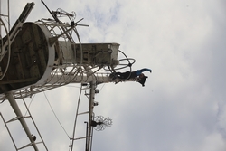 Resize of IMG_6584.JPG