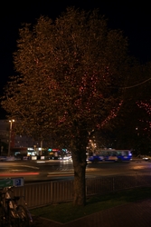 Resize of IMG_6650.JPG