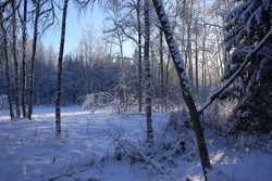 Resize of IMG_2420 .JPG