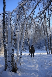 Resize of IMG_2424.JPG