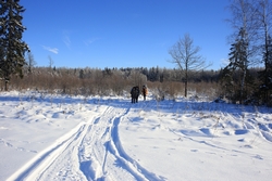 Resize of IMG_2447.JPG