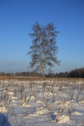 Resize of IMG_2469.JPG