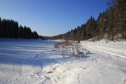 Resize of IMG_2504.JPG