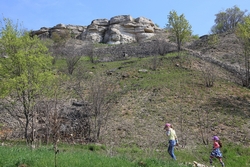 Resize of IMG_4167.JPG