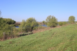 Resize of IMG_4304.JPG