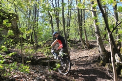 Resize of IMG_4326.JPG