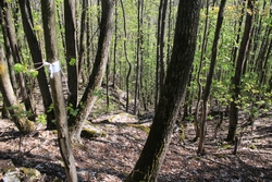 Resize of IMG_4328.JPG