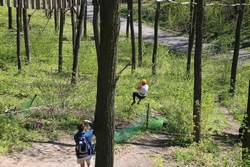 Resize of IMG_4523.JPG