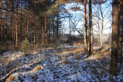 Resize of IMG_6848.JPG