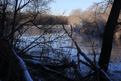 Resize of IMG_6850.JPG