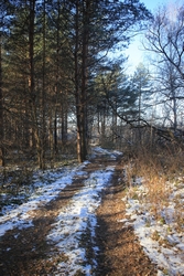 Resize of IMG_6853.JPG