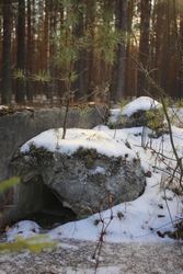 Resize of IMG_6876.JPG