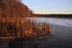 Resize of IMG_6910.JPG