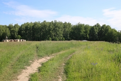 Resize of IMG_9035.JPG