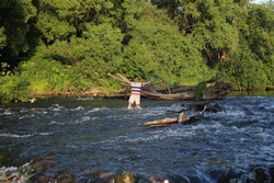 Resize of IMG_9213.JPG