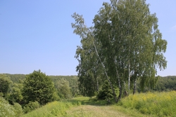 Resize of IMG_9276.JPG
