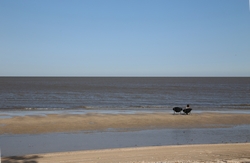 Resize of IMG_9430.JPG