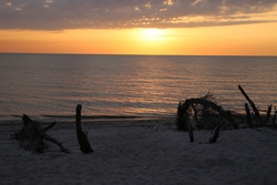 Resize of IMG_9514.JPG