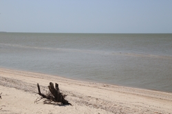 Resize of IMG_9542.JPG