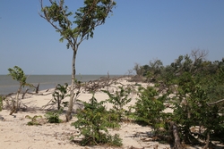 Resize of IMG_9561.JPG