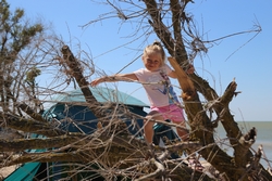 Resize of IMG_9812.JPG