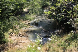 Resize of IMG_9855.JPG