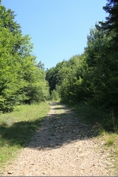 Resize of IMG_9867.JPG
