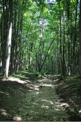 Resize of IMG_9876.JPG