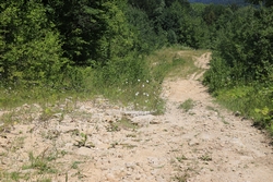 Resize of IMG_9885.JPG