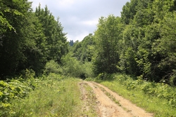Resize of IMG_9897.JPG