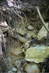 Resize of IMG_9903.JPG