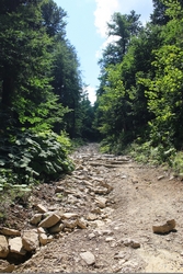 Resize of IMG_9938.JPG