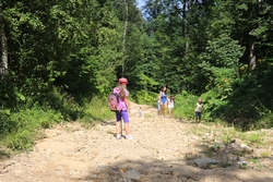 Resize of IMG_9943.JPG