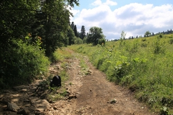 Resize of IMG_9945.JPG
