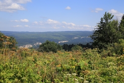 Resize of IMG_9954.JPG