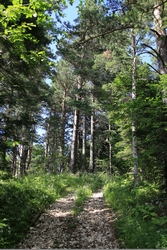 Resize of IMG_9959.JPG