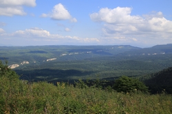 Resize of IMG_9966.JPG