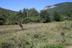 Resize of KIMG_0007.JPG