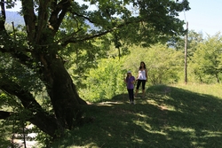 Resize of KIMG_0016.JPG