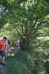 Resize of KIMG_0022.JPG