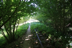 Resize of KIMG_0035.JPG