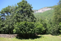 Resize of KIMG_0041.JPG