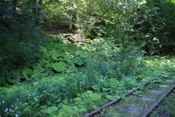 Resize of KIMG_0042.JPG
