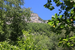 Resize of KIMG_0052.JPG