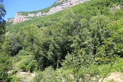 Resize of KIMG_0058.JPG